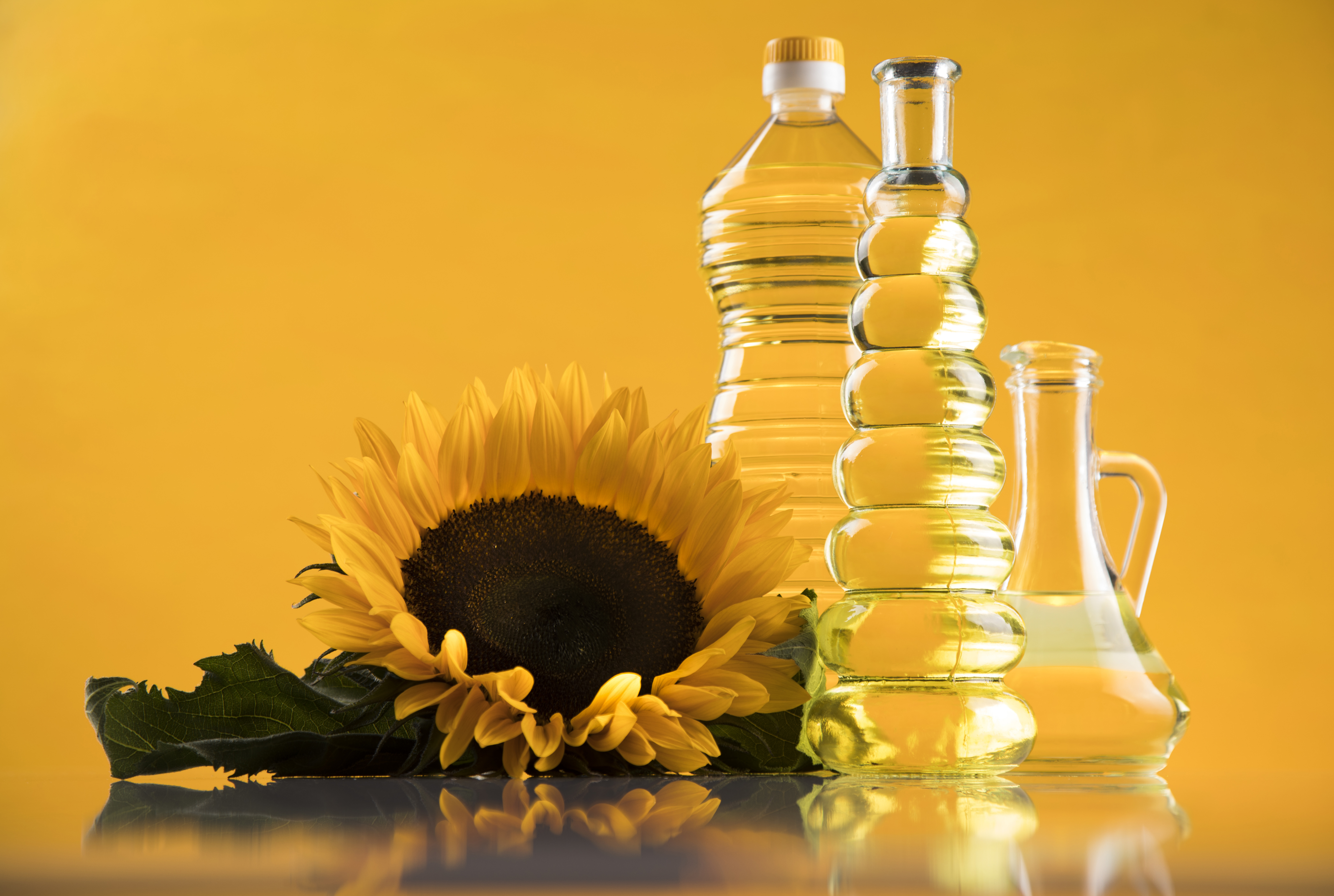 Sunflower Oil